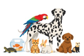 Diverse group of domestic animals and pets together on white background.