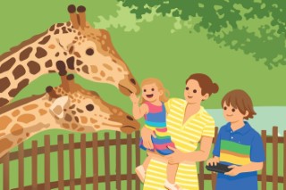 A family visiting giraffes at a sunny zoo enclosure.
