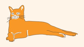 Free Animals Vector Graphic: Free Vector for Modern Creative Projects