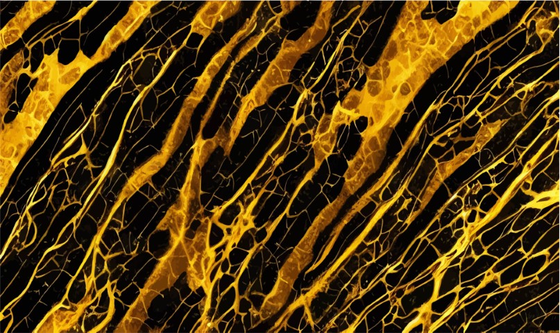 Golden marble texture with many contrasting textures.Vector.