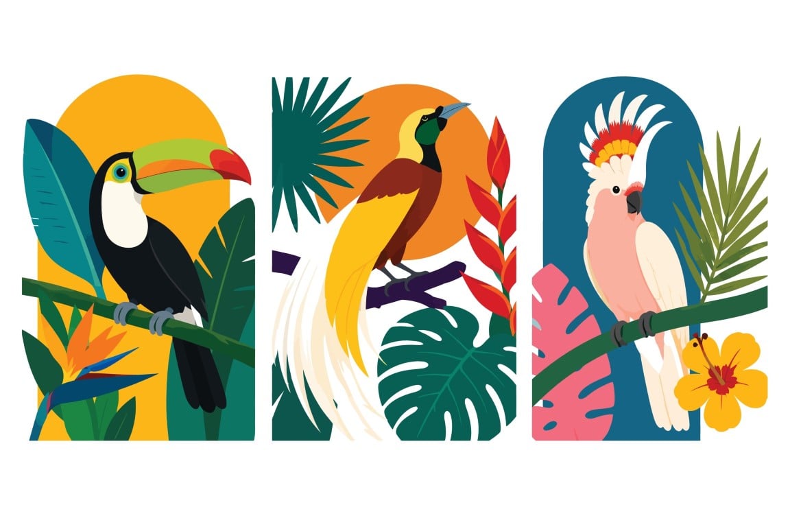 Exotic Tropical Birds Card Set With Vibrant Jungle Foliage.