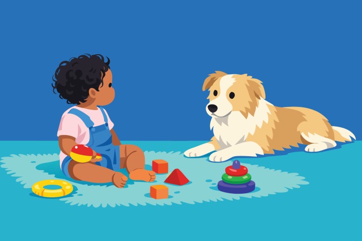 Toddler playing on the floor with a loyal dog and colorful toys.