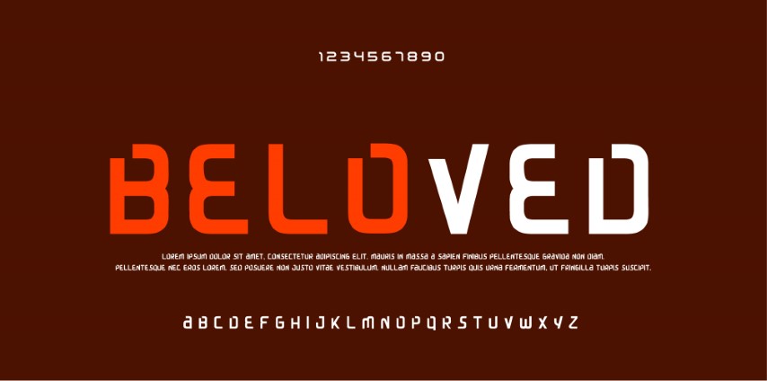 Elegant style alphabet - Decorative alphabet fonts and numbers.