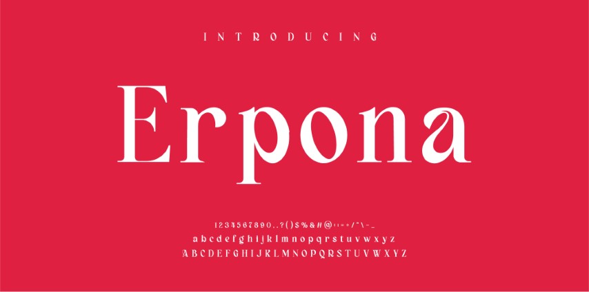 Elegant style alphabet - Decorative alphabet fonts and numbers.