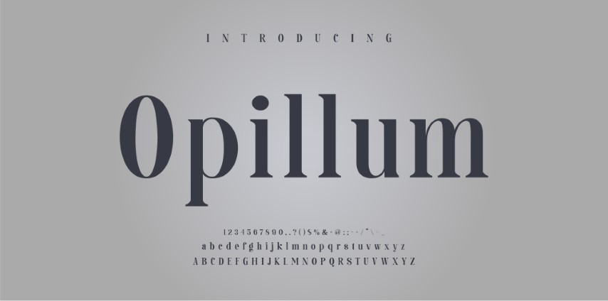 Elegant style alphabet - Decorative alphabet fonts and numbers.
