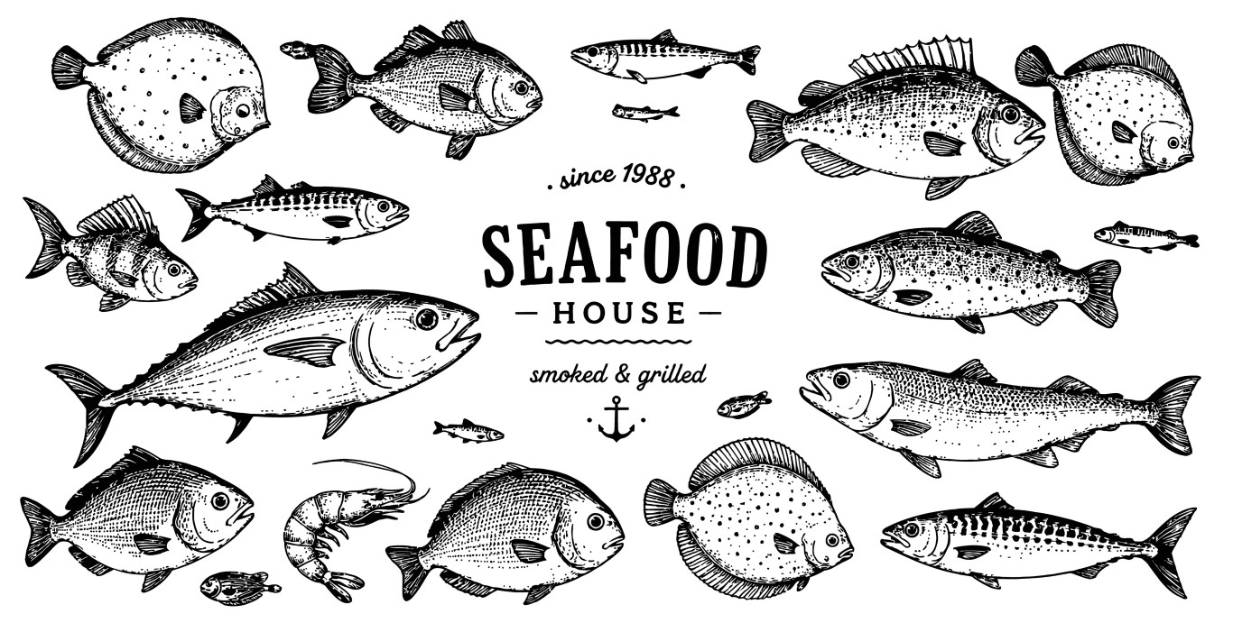 Seafood house fresh fish and shrimp collection hand drawn set.