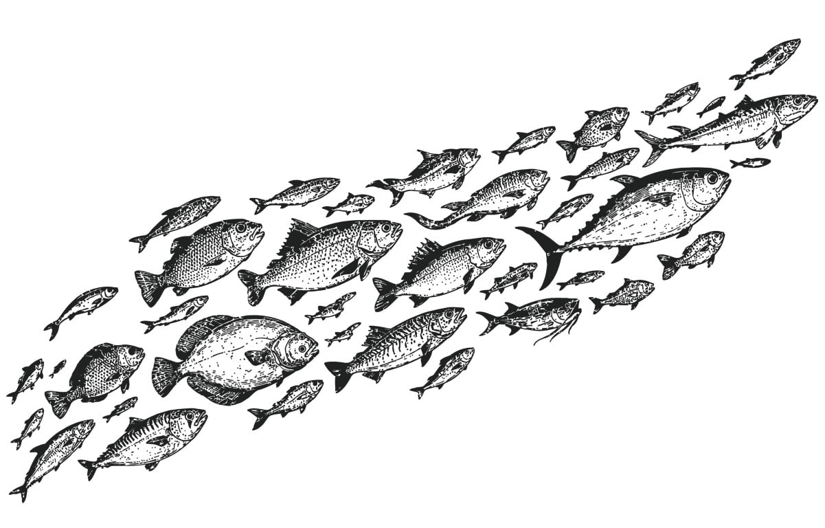 Hand drawn school of various fish swimming together underwater.