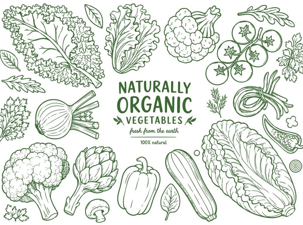 Fresh Organic Vegetables and Healthy Green Food.