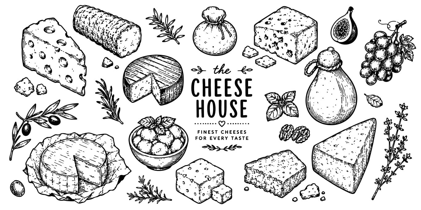 Engraved organic artisan cheese collection with various dairy products and herbs.