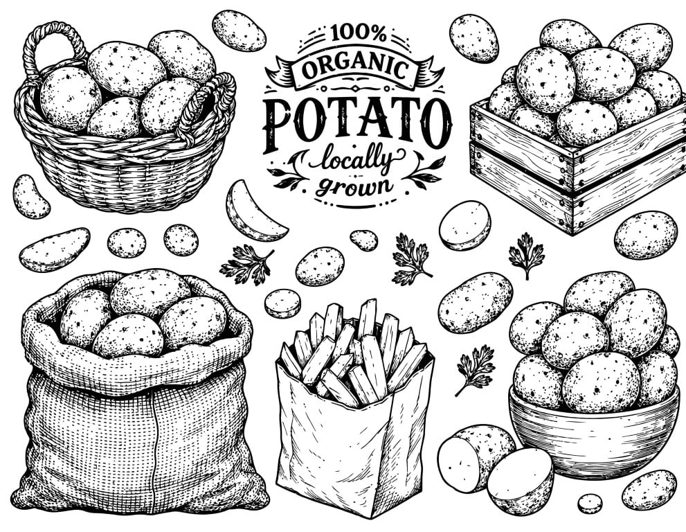 Traditional spanish cuisine assortment featuring classic dishes and authentic recipes.