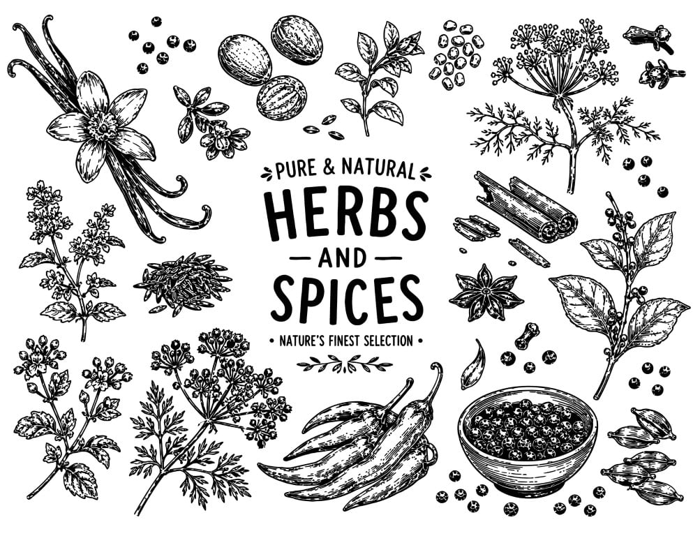 Pure and natural herbs and spices selection for culinary cooking.