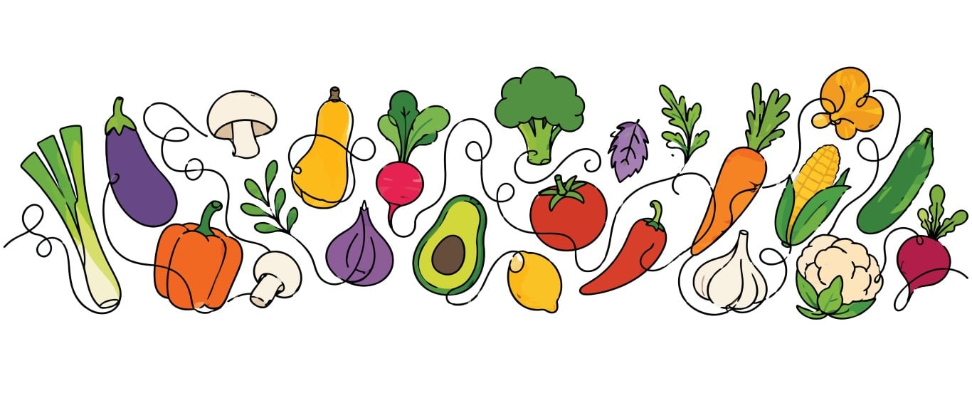 Continuous line art fresh organic vegetable long border graphic.