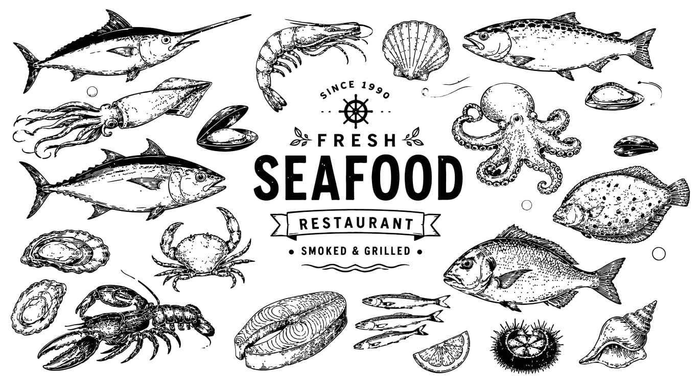 Fresh seafood restaurant menu layout with realistic hand drawn vintage sketches of marine life.