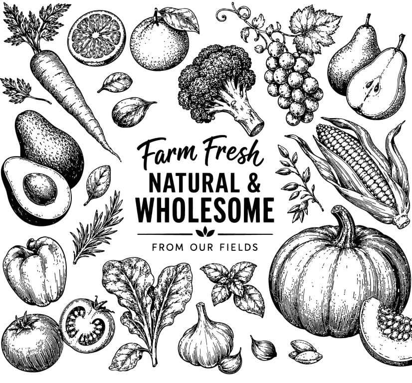 Farm fresh natural and wholesome agricultural products sketch concept.