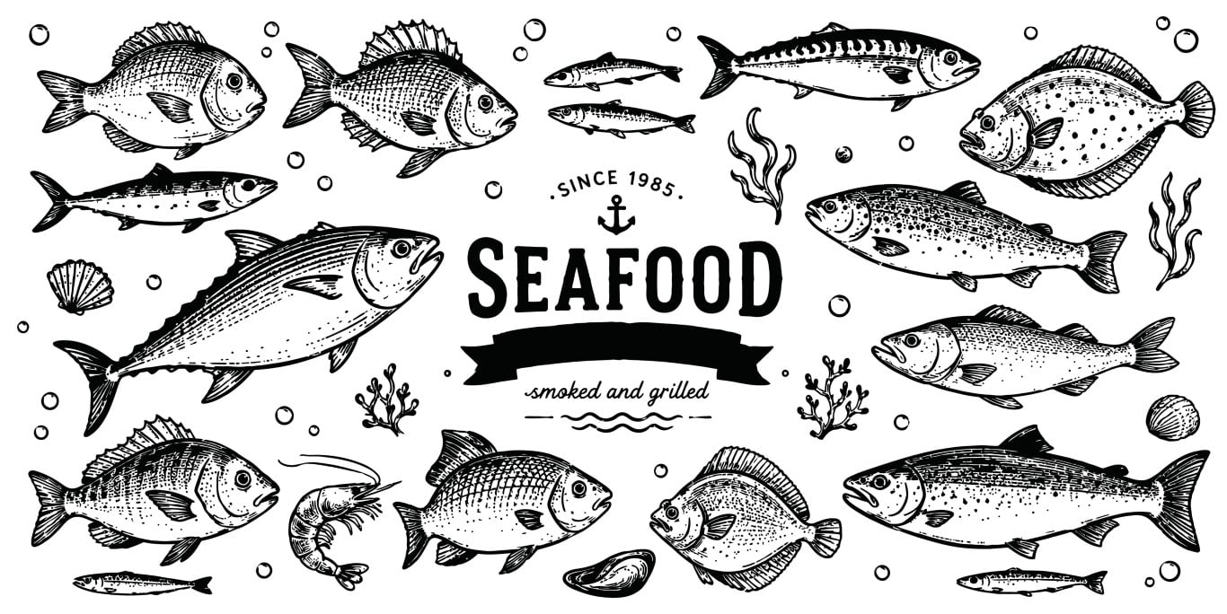 Fresh seafood and assorted fish collection hand drawn sketch set.