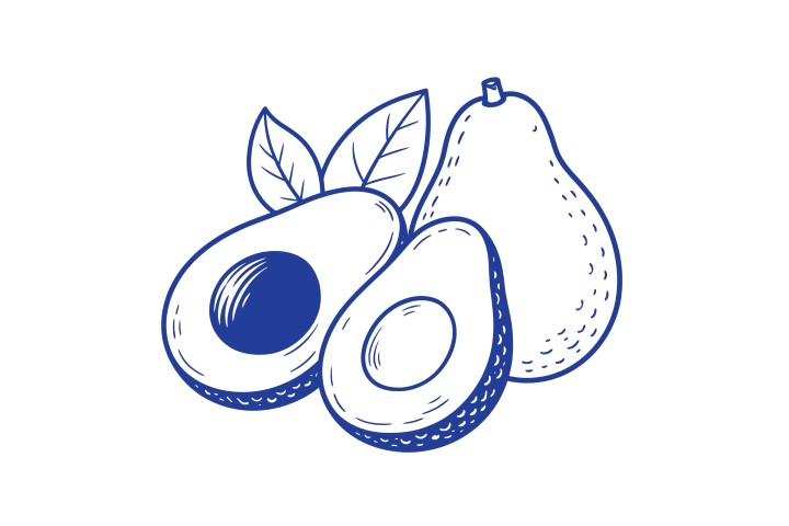 Fresh whole and sliced avocado with leaves graphic icon.