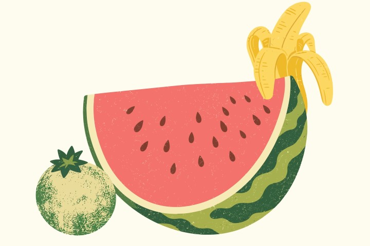 Slice of fresh watermelon with banana peel and citrus fruit.