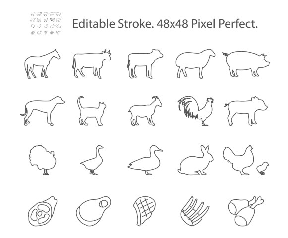 Premium Style Icon Illustration: Free Vector - Free SVG and EPS File