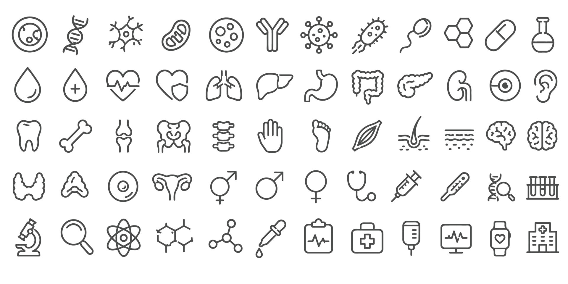 Medical healthcare anatomy and scientific research elements compiled inside a linear icons set collection.