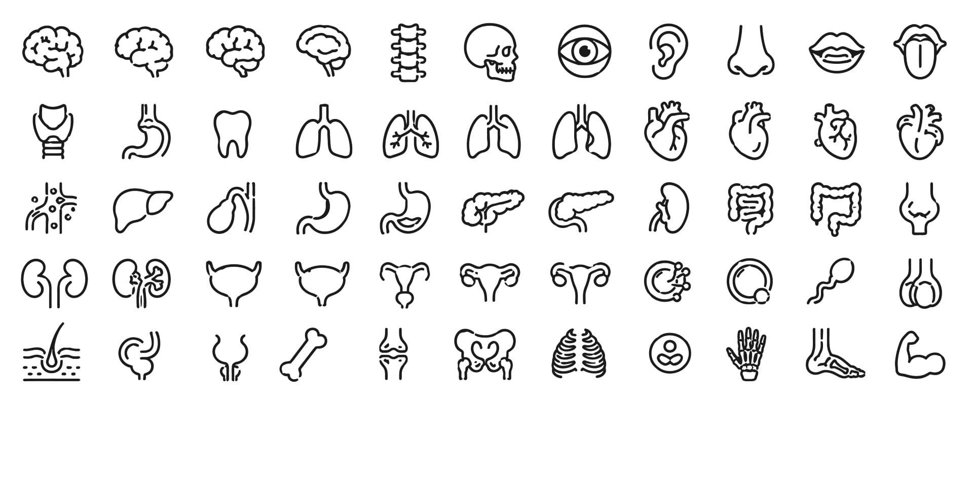 Human anatomy and internal organs outline icon set.