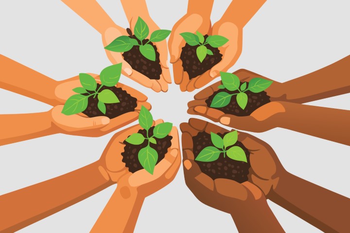 Diverse group of hands holding and protecting young green plant seedlings.
