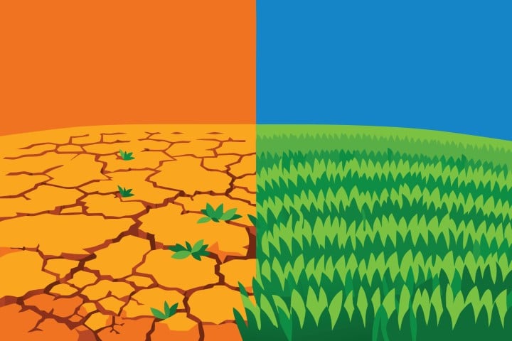 Comparison of dry cracked earth and lush green grass field.