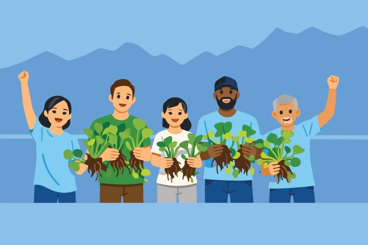 Group of smiling volunteers holding small green plants during an environmental event.