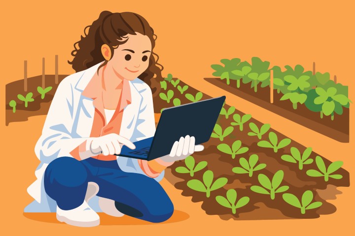 Female agronomist using a laptop to monitor plant growth in an agricultural field.