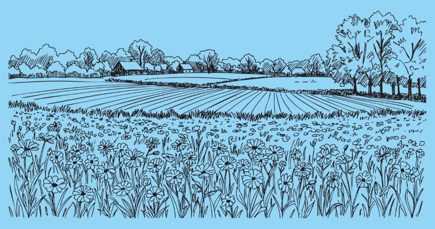 Free Outdoor Vector Graphic: Free Vector for Modern Creative Projects