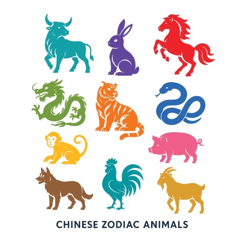 Chinese zodiac animals traditional colorful symbolic silhouettes set.