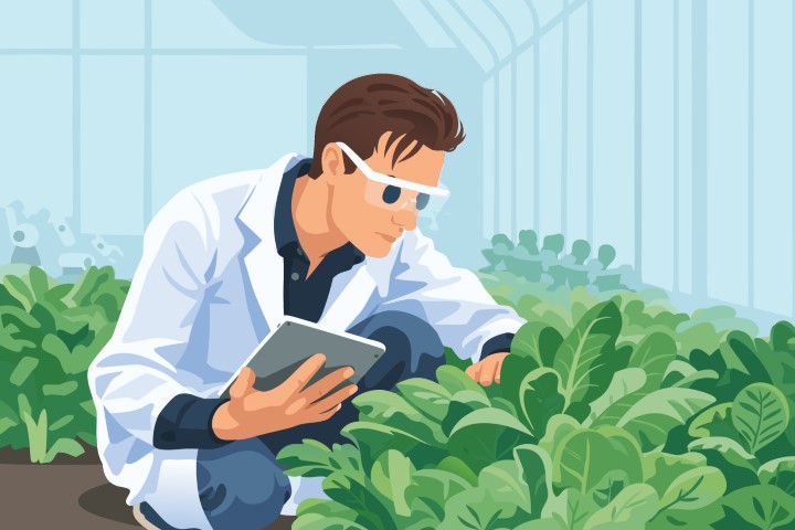 Botanical researcher analyzing crops with tablet in greenhouse indoor farm.