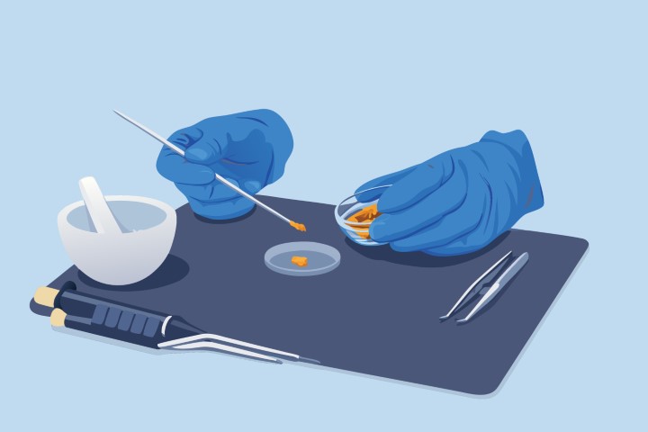 Professional scientist using pipette for petri dish experiment in research lab.