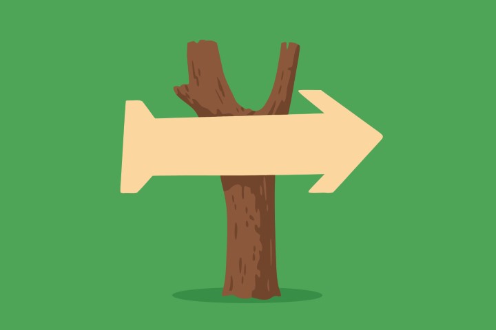 Wooden signpost with an arrow pointing right in a green nature field.