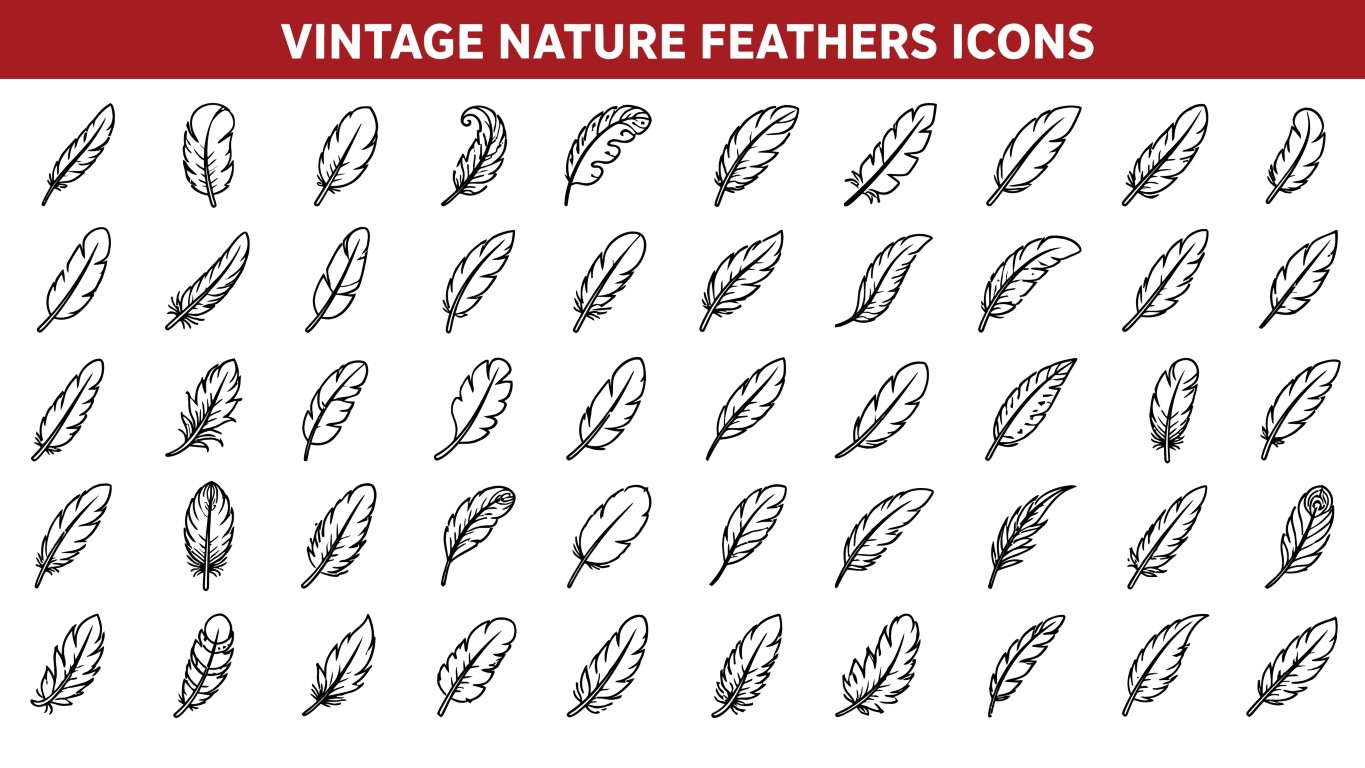 Vintage nature feathers icons set collection for retro decoration.