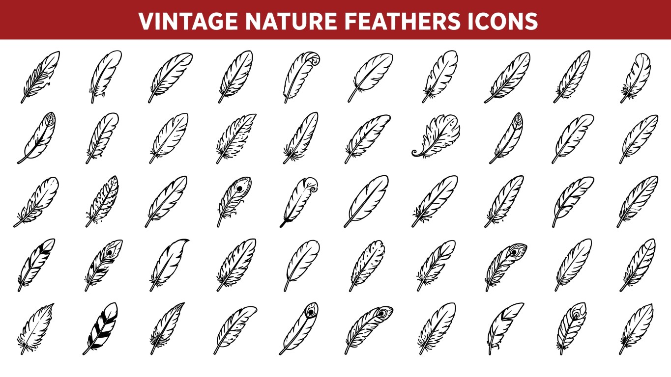 Vintage nature feathers icons set collection with ornate plume details.